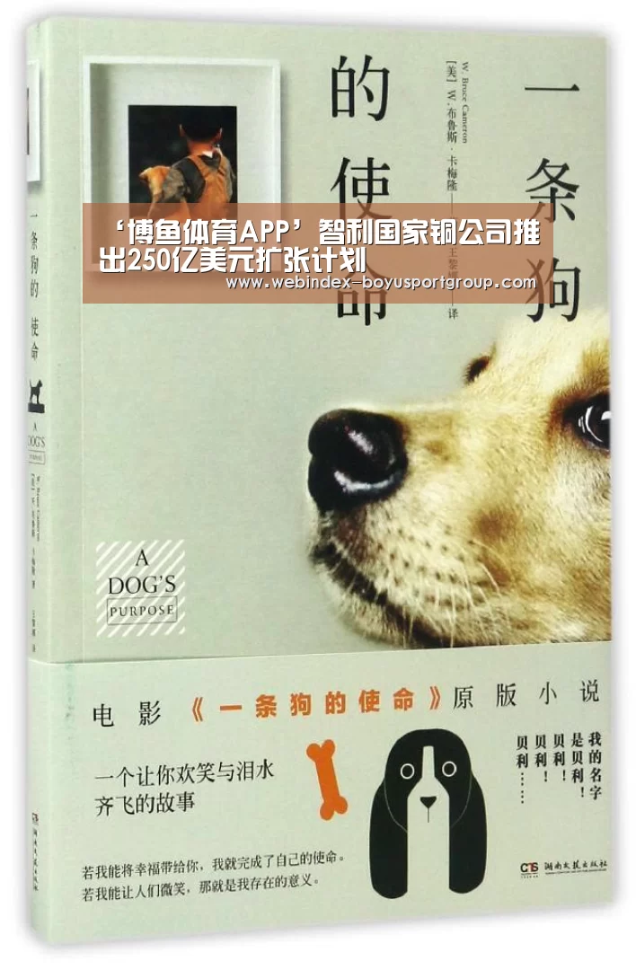 ‘博鱼体育APP’智利国家铜公司推出250亿美元扩张计划(图2) 博鱼体育APP