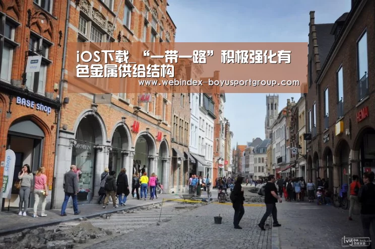 iOS下载_“一带一路”积极强化有色金属供给结构(图3) 官方应用