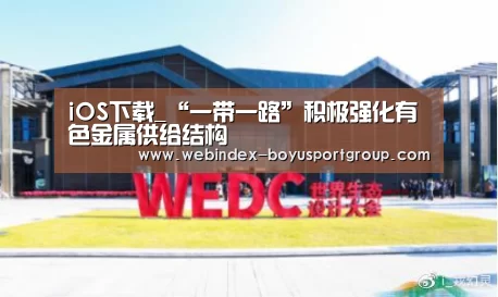 iOS下载_“一带一路”积极强化有色金属供给结构(图2) APP下载