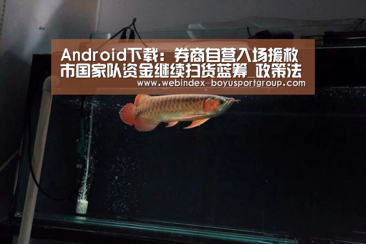 iOS下载