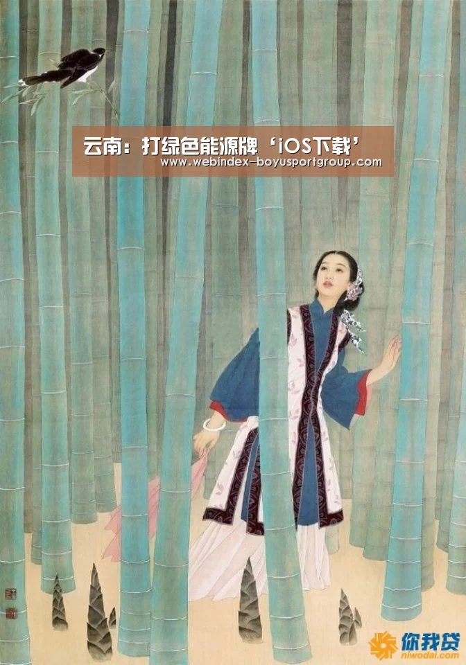 官方应用