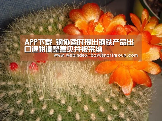 APP下载_钢协适时提出钢铁产品出口退税调整意见并被采纳(图2) iOS下载