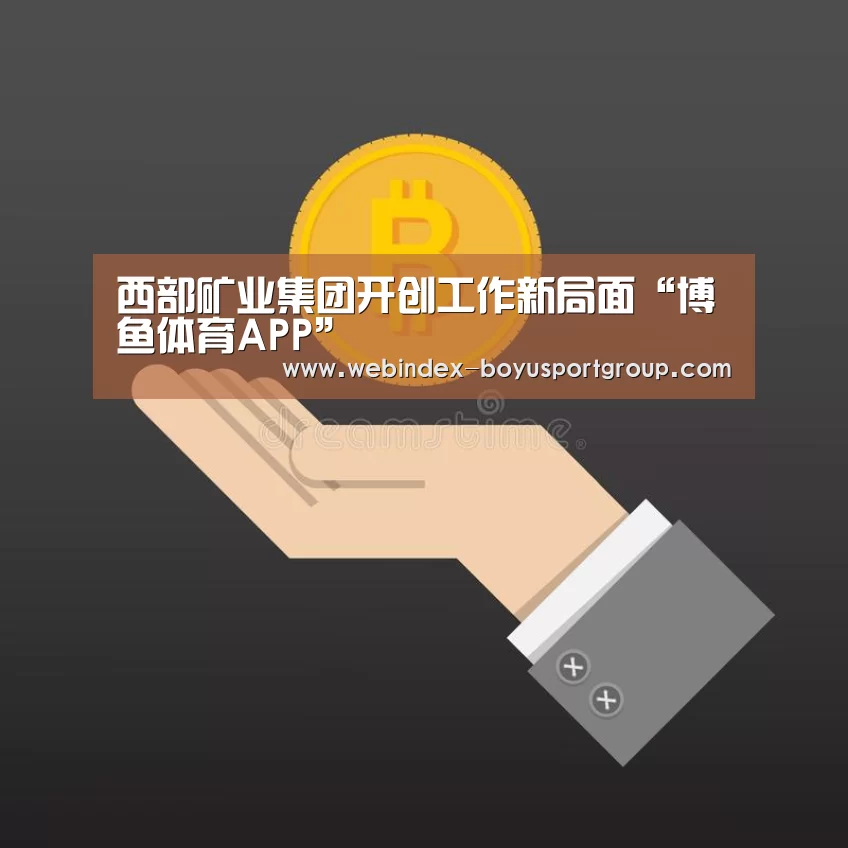 西部矿业集团开创工作新局面“博鱼体育APP”(图1) 官方应用