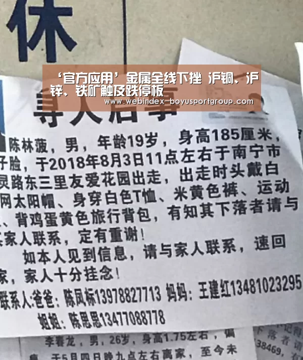 ‘官方应用’金属全线下挫 沪铜、沪锌、铁矿触及跌停板(图1) APP下载
